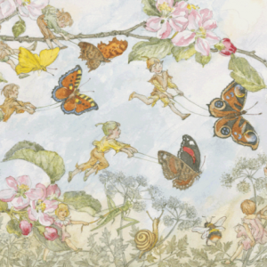 Molly Brett – The Butterfly Race
