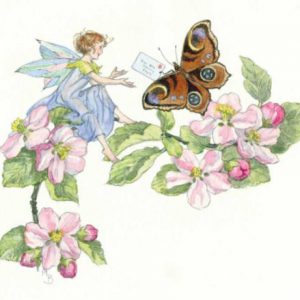 Molly Brett – Fairy receiving a letter from a peacock butterfly