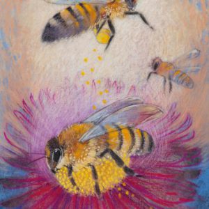 Loes Botman – Bijen