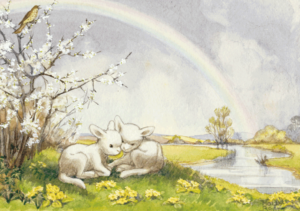 Molly Brett – Lambs and rainbow