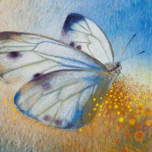 Loes Botman – Witte vlinder