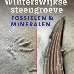 Jelle Reumer – Gids voor de Winterswijkse steengroeve; fossielen en mineralen