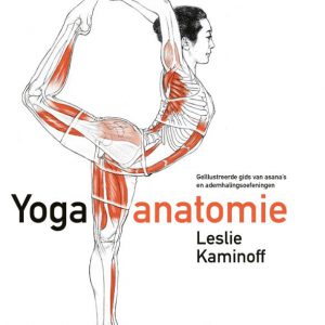 Leslie Kaminoff – Yoga anatomie