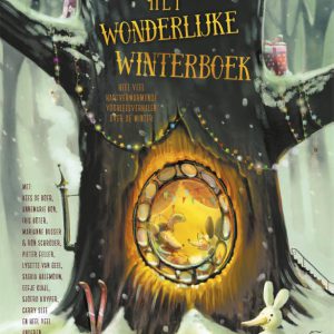 Marianne Busser – Het wonderlijke winterboek